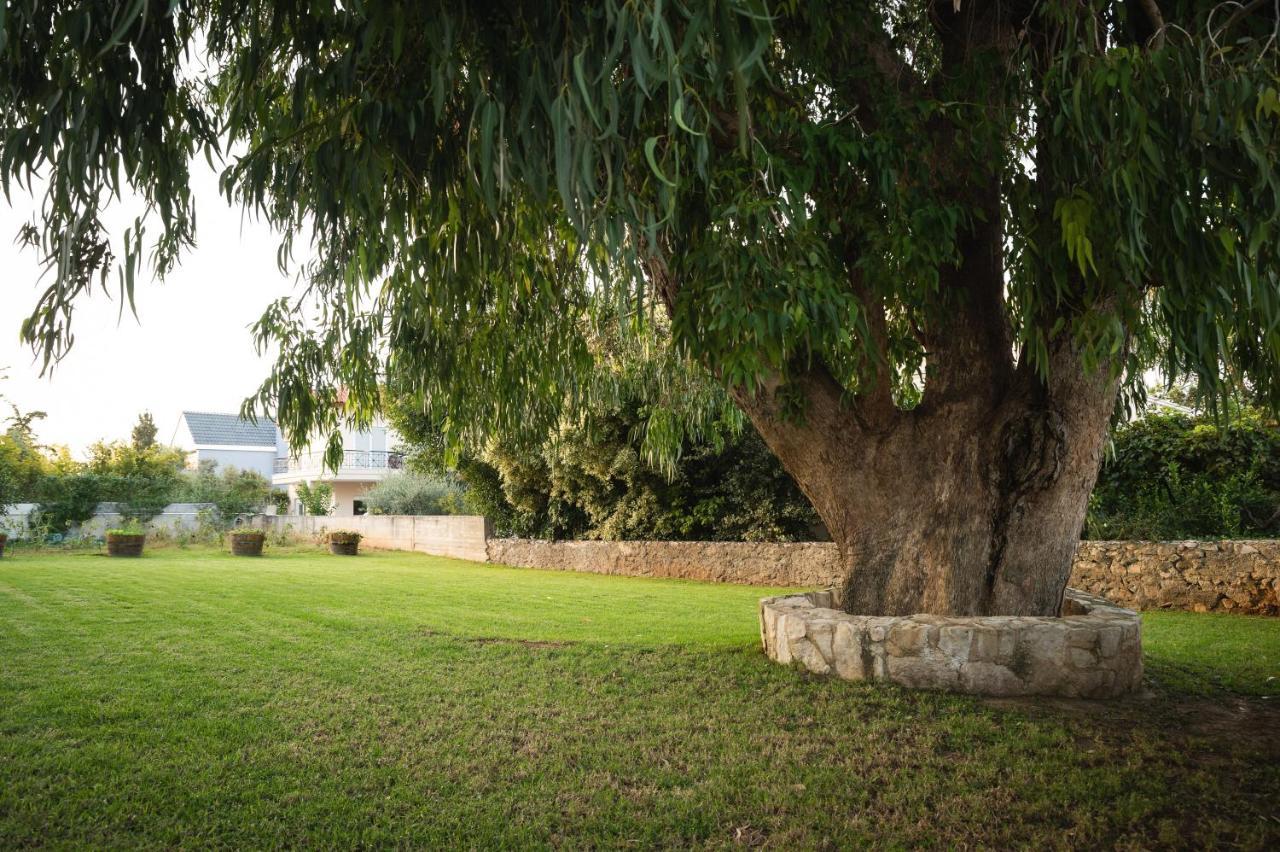 Cedar Tree Villa Kounoupidhianá Exterior foto